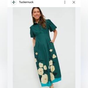 Tuckernuck Aegean Blossoms Delaney Maxi Green Floral Dress XS